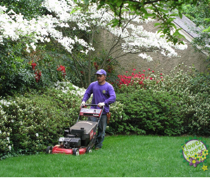 Lawn Care Specialists Burtonsville Md, Premier Lawn And Landscape